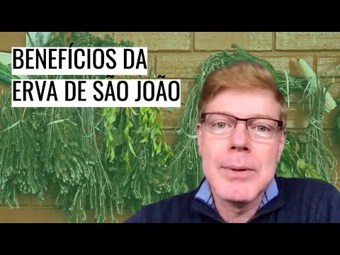 , title : 'BENEFÍCIOS DA ERVA DE SÃO JOÃO'