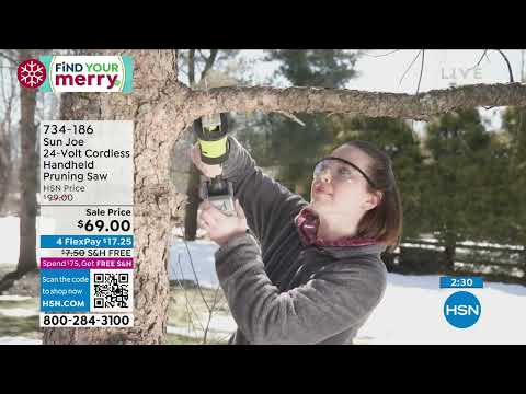 Sun Joe 24Volt Cordless Handheld Pruning Saw