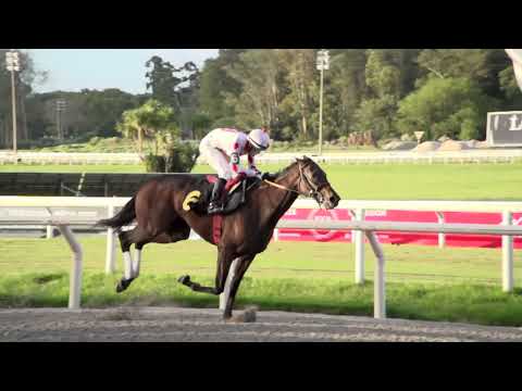 230326 c07 MI GUADALUPE