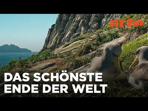 Neuseeland - Gletscher, Vulkane und Kiwis | Reupload | ARTE Fernweh