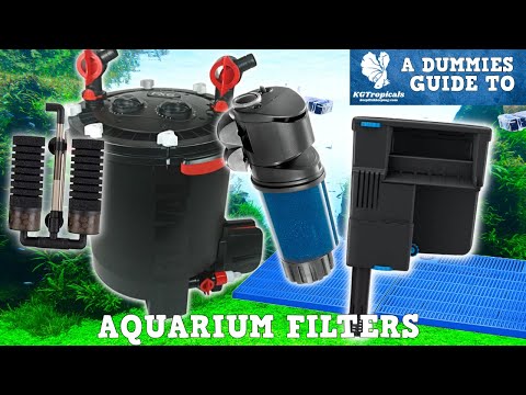 BEST Tips For Selecting The CORRECT Aquarium Filter!
