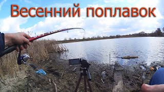 Ссылка