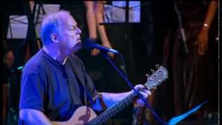 David Gilmour - Live at Robert Wyatt's Meltdown