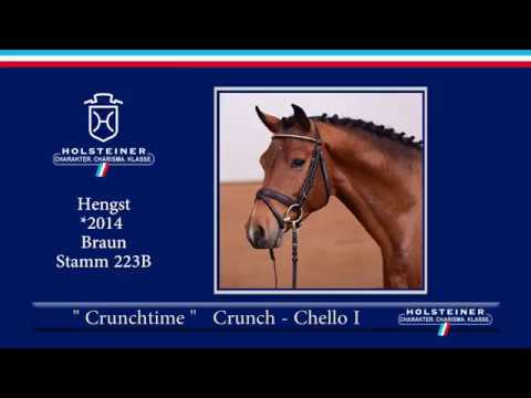 Holsteiner Frühjahrsauktion | Nr. 123 Crunchtime