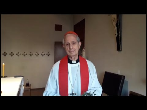 Mensaje del Card. Poli para la #SemanaSanta