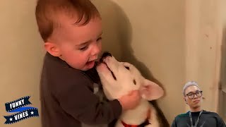 Naughty Baby And Dog Have A Beautiful Friendship || Funny Vines