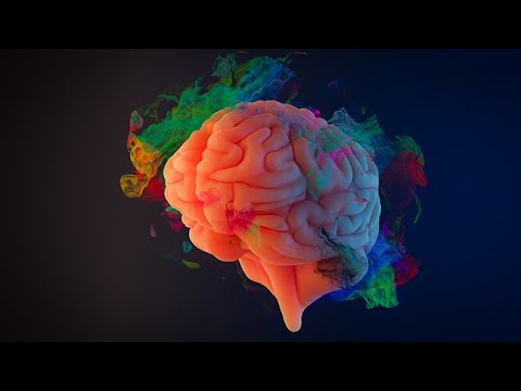 Cognitive Functions - Cognitive Networks