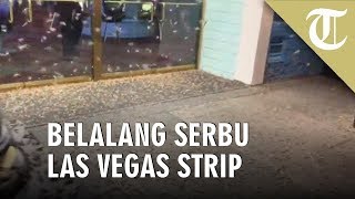 Viral Video, Serbuan Belalang di Jalan hingga Rumah Warga Las Vegas Strip