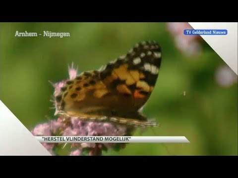 GLD Nieuws 19 september 2012 - Nieuws