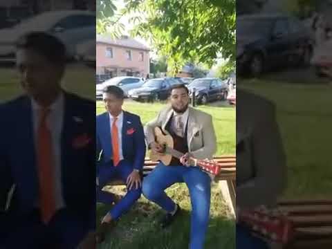 Mamuko Berci & Grofo Gilabel 2019-Élő live