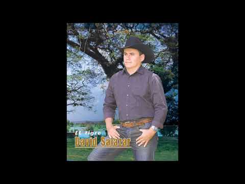 Tu Amor y Mi Poesía-David Salazar