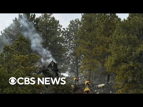 Protecting the nation's trees and forests from wildfires and climate change