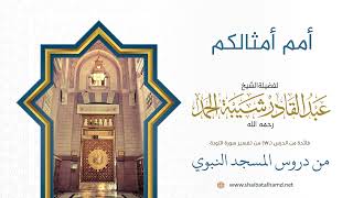 صورة أمم أمثالكم | الشيخ عبد القادر شيبة الحمد رحمه الله