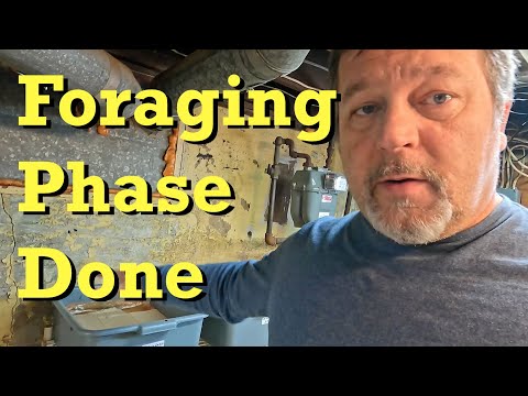 Transition from foraging to migrating in 134-day red wiggler worm bin - vermicomposting