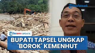 Pengakuan Bupati Tapsel, Kemenhut Ternyata Buka Kembali Izin Penebangan Hutan Sebulan Sebelum Banjir