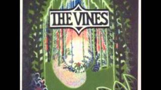 THE VINES - HOMESICK
