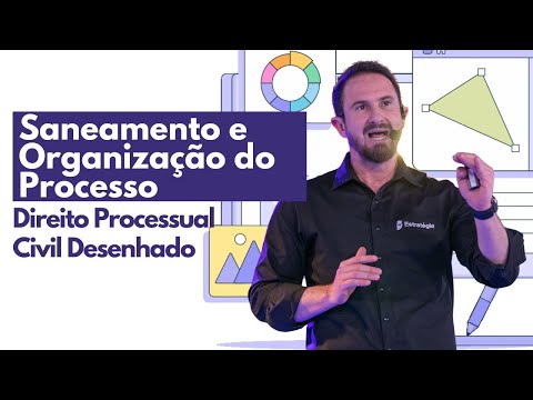 Saneamento e Organização do Processo | Processo Civil Desenhado