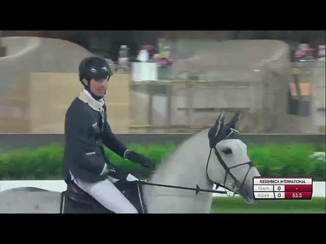 Mother of this implanted embryo is the full sister of the CSI 1.70m jumping Stallion Mumbai with rider Christian Kukuk.