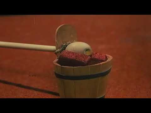 Sąsiedzi E 17  -  Urodzeni sportowcy