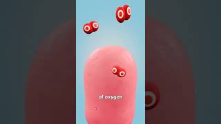 Can A Zip Tie Cut Off Your Finger? 😨