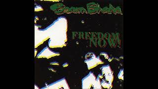 Boom Shaka - Gun Smuggler