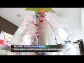 Campaña recogida botellas plástico para decoración Navideña