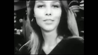 The Mamas &amp; The Papas - I Saw Her Again