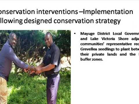 Protect Uganda's Cranes & Restore Wetland Habitat