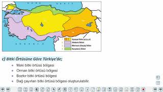 Eğitim Vadisi 9.Sınıf Coğrafya 23.Föy Türkiye'de Bölgelerin Sınıflandırılması 1 Konu Anlatım Videoları