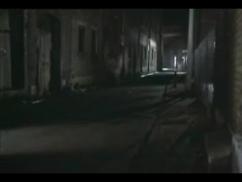 SE16 on Screen - Regan