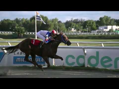 230317 c08 - HEIDY ANNE - HIPODROMO LAS PIEDRAS