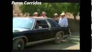 Regalo Caro-Laberinto