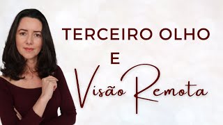 O que é Visão Remota e Como Desenvolver