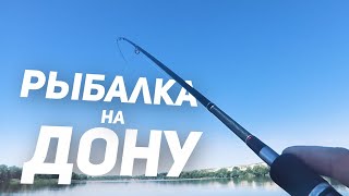 Пенопласт рыбий жир рыбалка