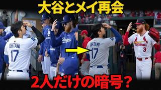 【まさかの瞬間】大谷翔平、ダスティン・メイを見てあの仕草を再現…元同僚2人の会話に何があったのか？