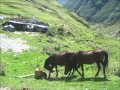 Tusheti.girevi2011. 