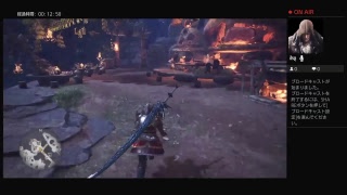 torusaiko35がPS4からブロードキャスト