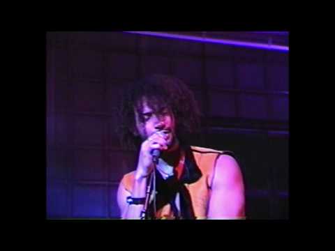 Terrence Spectacle - Blinded (Official Video)