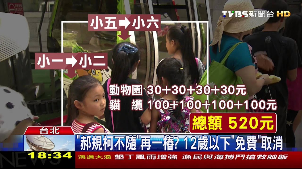「暑假小確幸」取消! 國小生搭貓纜收全票