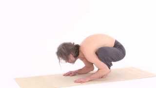 CIGNO 2 – HAMSA ASANA