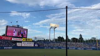 【ヲタ芸】カラシティー半端ないって。【みねむっしゅ】