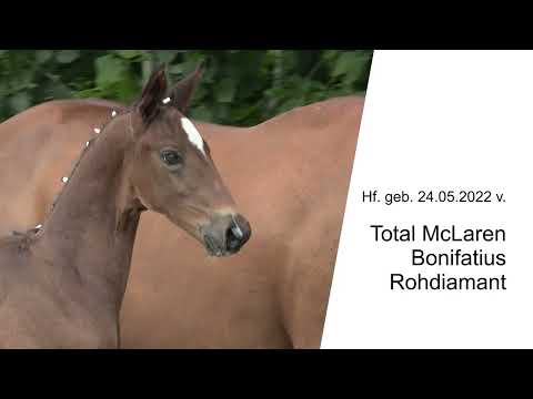 Hf v Total McLaren x Bonifatius x Rohdiamant 2022