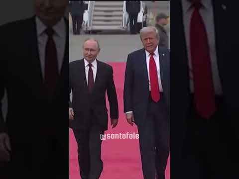 Brincadeirinha #santofole