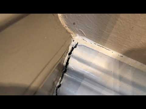 Exterminating Ants From Top to Bottom in Colts Neck, NJ