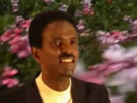 Aziz Hagos: Fiyori ፊዮሪ (ethiopian music) old Tigrigna music