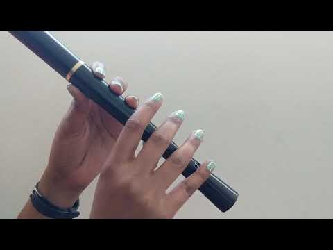 Treat You Better by Shawn Mendes on Recorder
