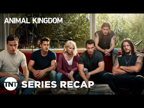 Animal Kingdom: Series Recap | TNT
