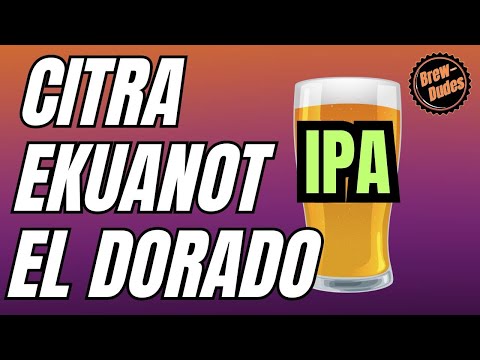 Citra, Ekuanot, and El Dorado IPA - Recipe and Tasting Notes