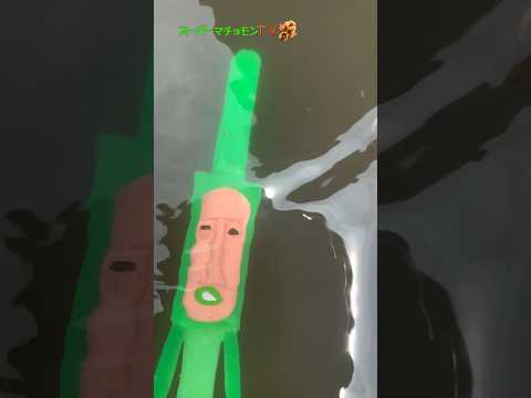 ティラノサウルスの新たな親戚は2匹?