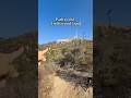 How To Get The BEST Views Of The Hollywood Sign ️